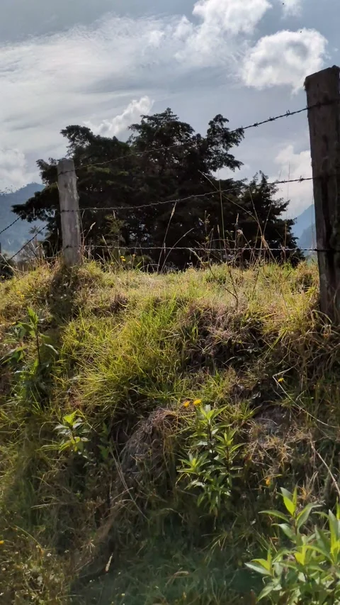 Offroad exploration through rural Colombia, navigating tranquil national parks 스톡 동영상 312914747