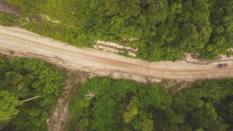 Offroad Jungle from drone view Video stock 262610710