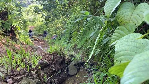 Offroad at the mount 動画素材 206631635