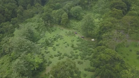 Offroad in mountain and forest Video stock 244649861