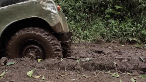 Offroad in mud in the forest Stock Footage 74908309