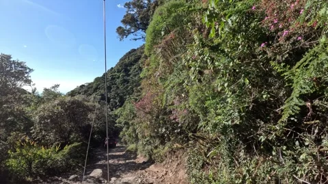 Offroad Vehicle Driving on Rugged Mountain Road Surrounded by Dense Rainforest Stock Footage 345014266