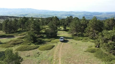 Offroad vehicle driving through the forest Stock Footage 294168998