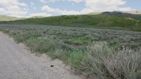 Offroading at Strawberry Reservoir 02 Stock Footage 311325914