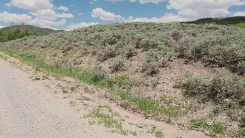 Offroading at Strawberry Reservoir 03 Stock Footage 311325925