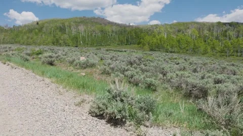 Offroading at Strawberry Reservoir 05 Stock Footage 311325943