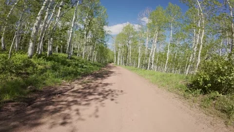 Offroading at Strawberry Reservoir 14 Stock Footage 311325891
