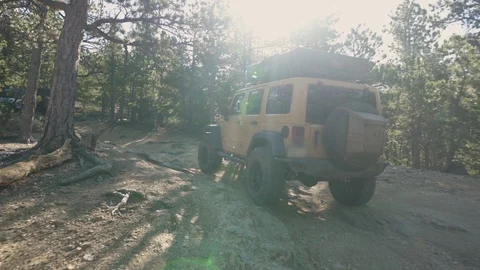 Offroading through Trees Mountain Colorado Sunny Stock Footage 122106221