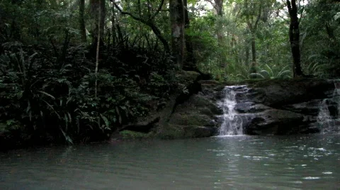 Offset Jungle Waterfall Stock Footage 538672