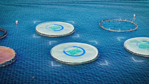 Offshore fish farm cages with AI-driven monitoring smart aquaculture Stock Footage 340193531