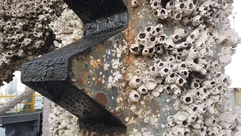 Offshore jack-up drilling rig leg. Stock Footage 116496463