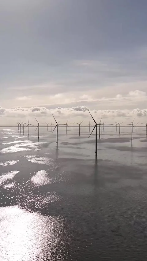 Offshore wind farm generating renewable energy Video stock 327113778