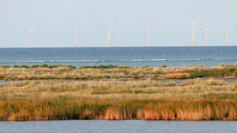 Offshore Windfarm Stock Footage 140856981
