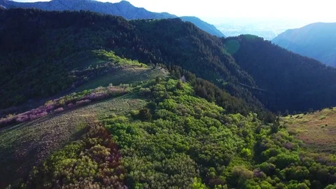Ogden Overlook flyover Stock Footage 87366127