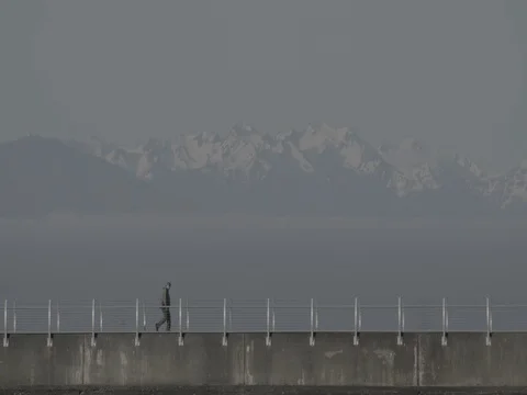 Ogden Point Olympic Mountains Breakwater Victoria James Bay Ungraded Stock Footage 75395079