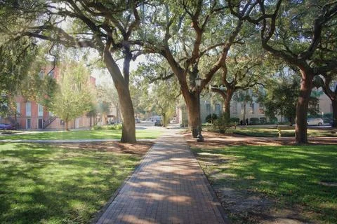 Oglethorpe Square Stock Photos