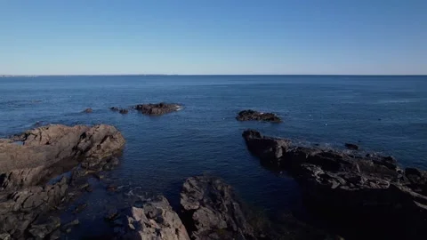 Ogunquit Rocks And Birds Stock Footage 296707022