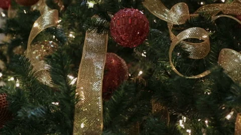 Oh, Christmas Tree! Stock Footage 47702348