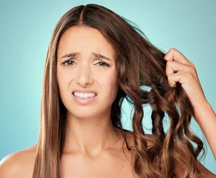 Oh no Split ends. Studio portrait of an attractive young woman posing against a Stock Photos