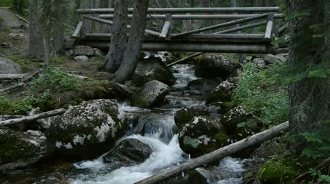 Ohanu Creek Trail Bridge Stock-Footage 11373032