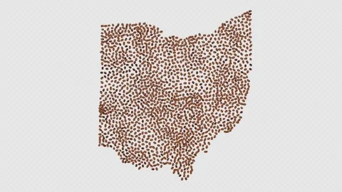 Ohio Coffee Beans Stock Footage 147906134