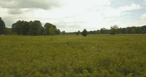 Ohio Meadow Stock Footage
