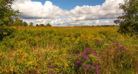 Ohio prairie Stock Photos