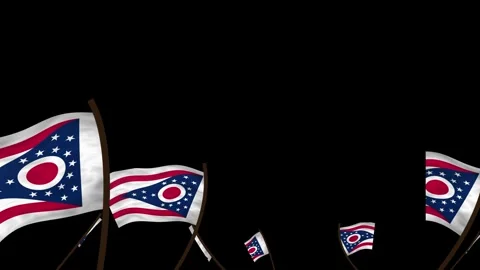 Ohio State Flags Waving Crowd. Realistic 4K 60fps Seamless Loop Stock Footage 338406079