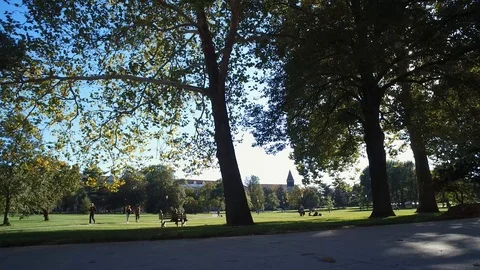 THE OHIO STATE UNIVERSITY, STUDENTS WALKING ON OVAL Stock Footage 98562407
