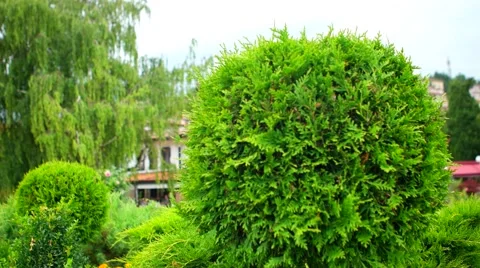 OHRID, MACEDONIA, JUNE 2015: Beautiful park view in the center of Ohrid city. Stock Footage 59777676