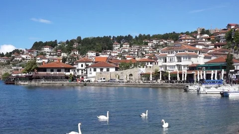 Ohrid view from the beach while swans swim in the unique Lake Ohrid Stock Footage 130139618