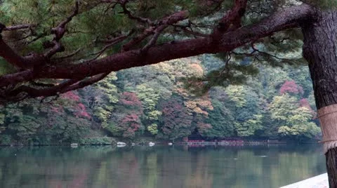 Oi River In Arashiyama Video stock 20536483