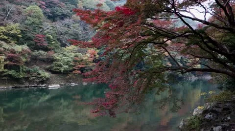 Oi River In Arashiyama Stock Footage 20537357
