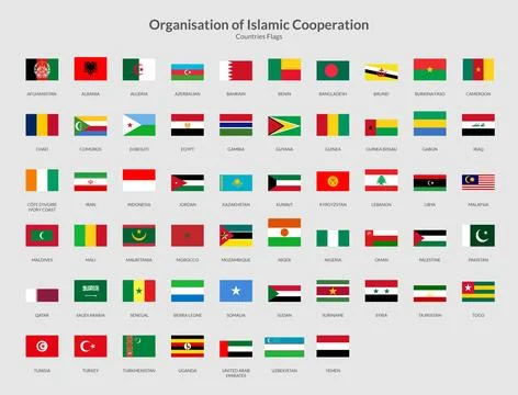 OIC Countries Rectangle flag icon Stock Illustration