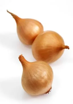 OIGNON GRELOT Stock Photos