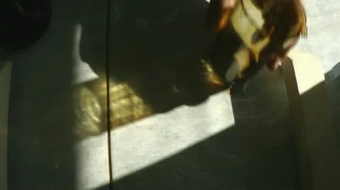 Oil. Analysis. Stock Footage