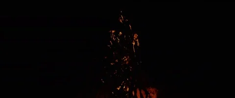Oil being poured into the burning bonfire at night Stock-Footage 80998590