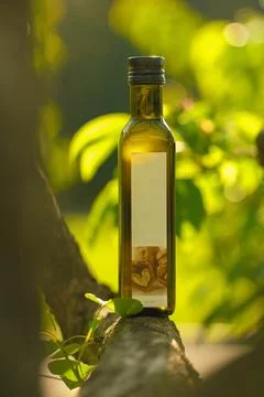 Oil bottle stands on a tree Stock Photos