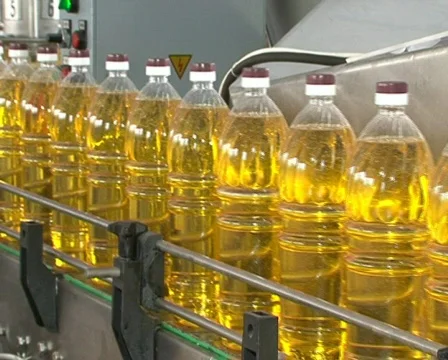 Oil bottling conveyor Stock Footage 563565