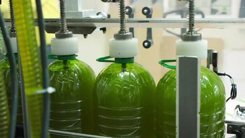 Oil bottling process in an agricultural mill Selective focus. Stock Footage 139028297