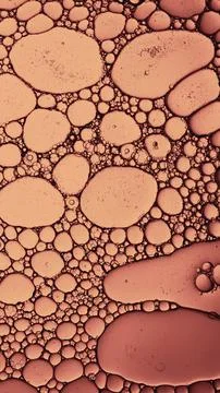 Oil bubbles creating abstract organic cell pattern background Stock Photos