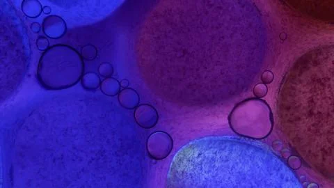 Oil bubbles floating in colored water - Macro Stock Illustration