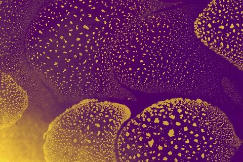 Oil bubbles inside water base form patterns Stock Illustration