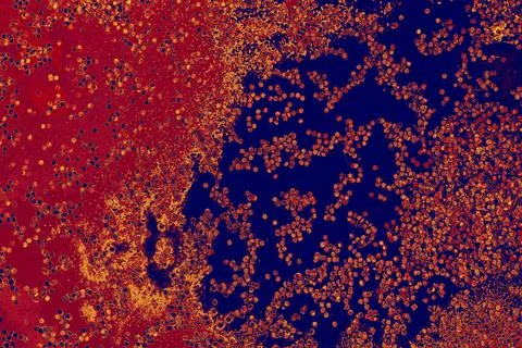Oil bubbles inside water base form patterns イラスト素材