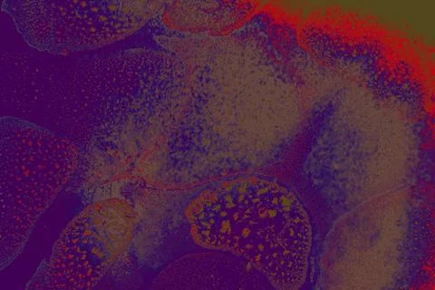 Oil bubbles inside water base form patterns Stock Illustration