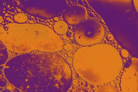 Oil bubbles inside water base form patterns Stock Illustration