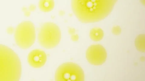 Oil bubbles in milk,  background. Chaotic motion, bubble flow expansion, cu.. Stock Footage 273777302