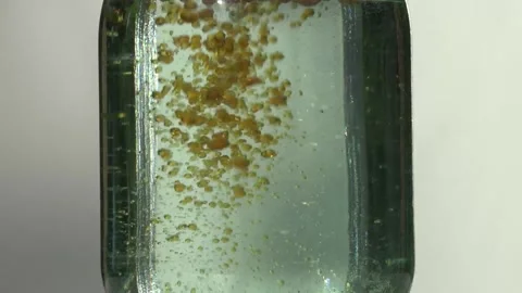 Oil bubbles in water #72 Stock Footage 158417944