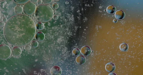 Oil bubbles on water abstract form in glass tank Video stock 150891041