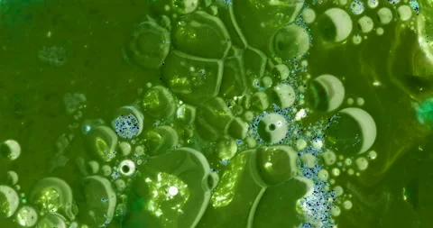 Oil bubbles on water abstract form in glass tank Video stock 150895837